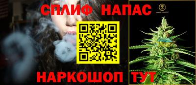 a pvp Новодвинск