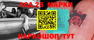a pvp Новодвинск