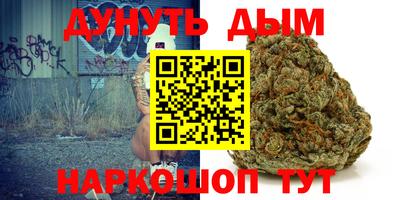 a pvp Новодвинск