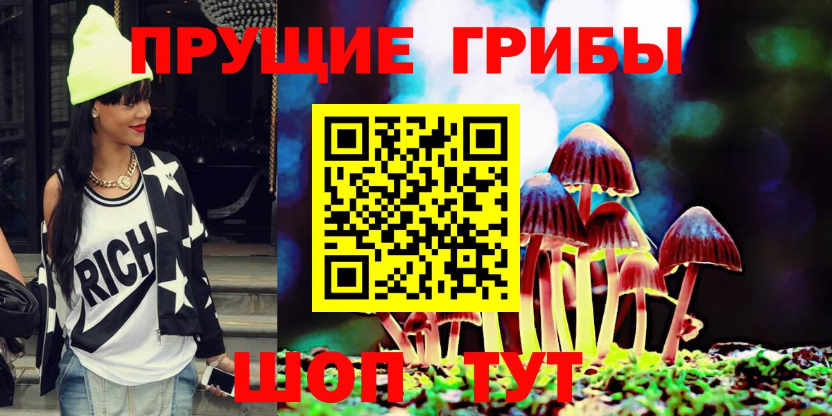 Псилоцибиновые грибы Cubensis Шатура